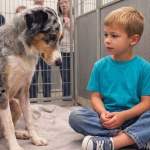 A Boy Who Hadn’t Spoken Since the Fire Found the One Dog No One Wanted