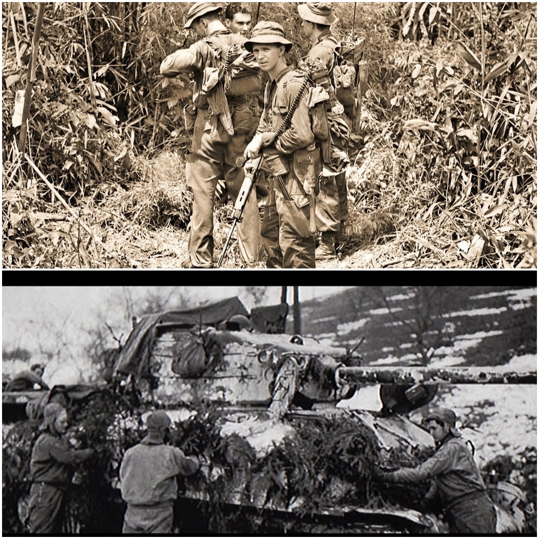 “Those Idiots Aren’t Wearing Helmets” — The Safety Warning That Australian SAS Ignored For A Reason D