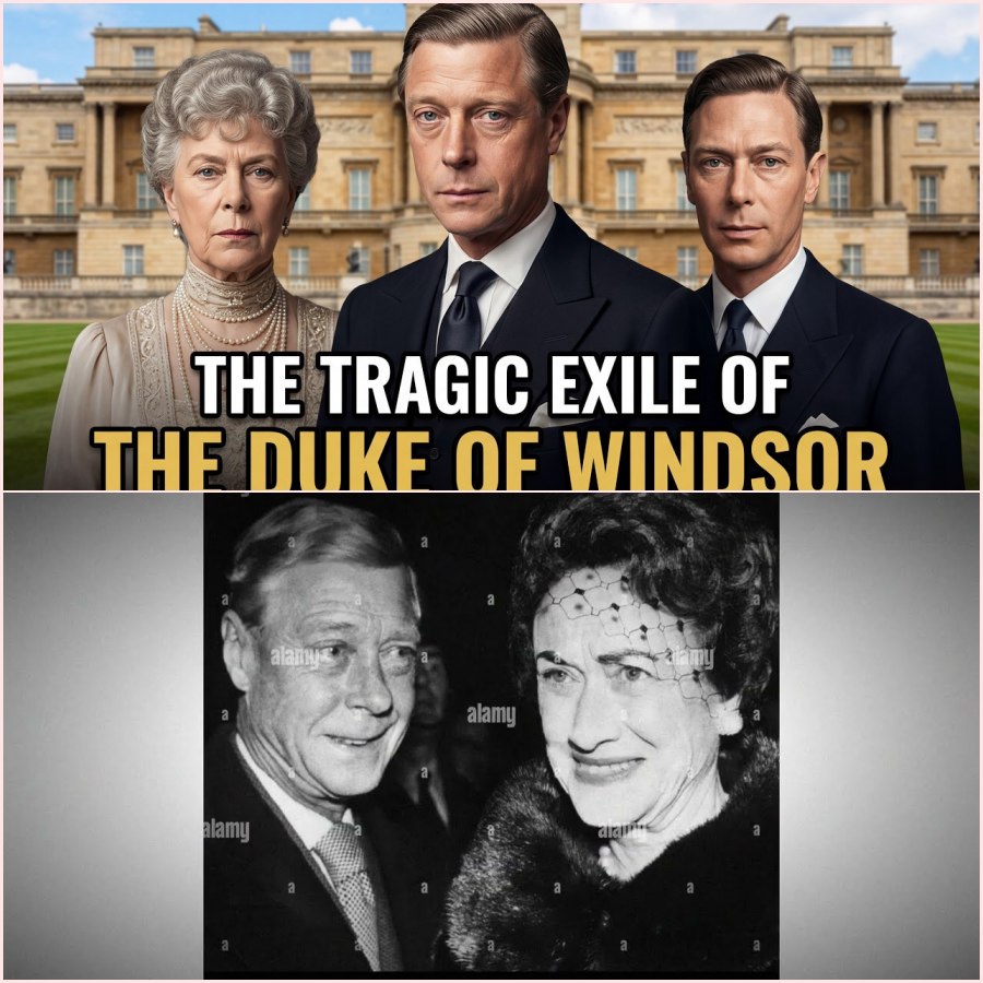 The Duke of Windsor Waited for Forgiveness That Never Came – HT