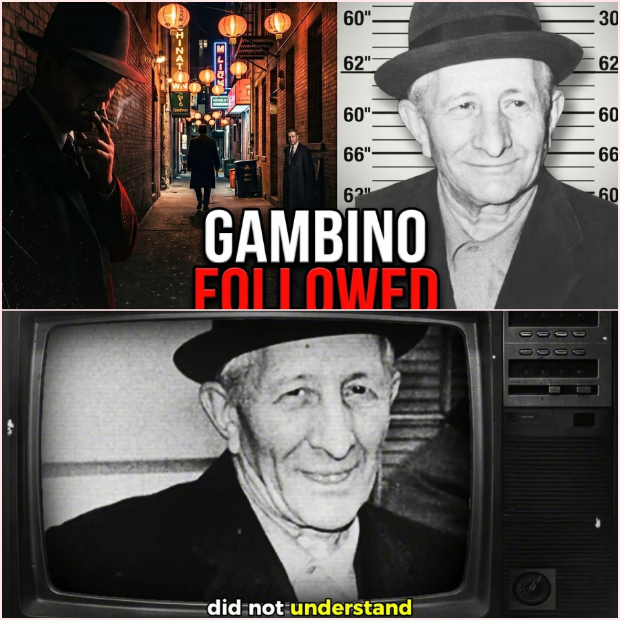 Ghost Shadows Enforcer Followed Carlo Gambino Through Chinatown — 1 Week Later The Border Changed – HT