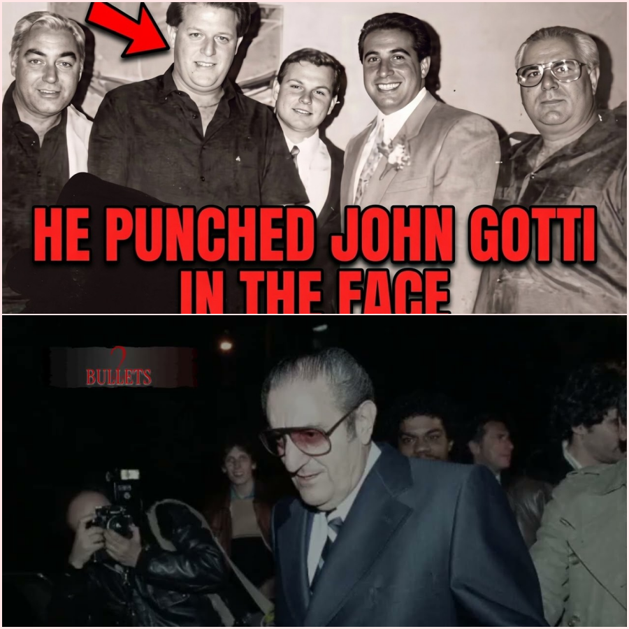 He Punched John Gotti in the Face — The Story of Mickey Boy Paradiso. HT