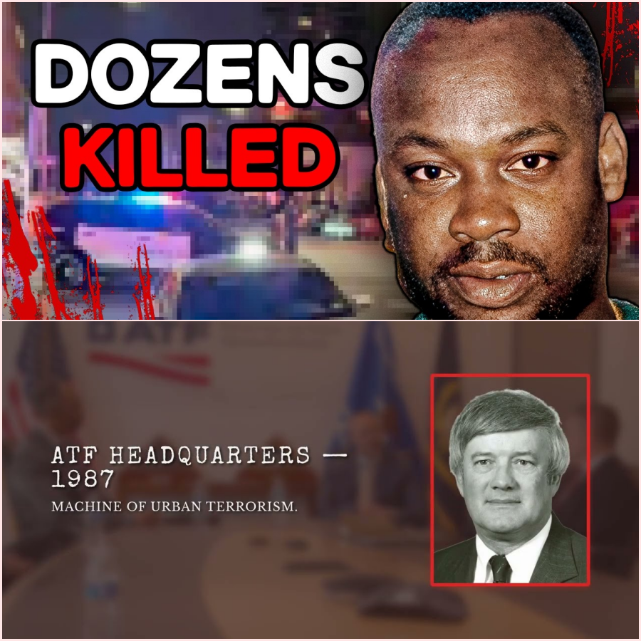 He Crossed the Jamaicans in Brooklyn — 47 Bodies Later, Nobody Ever Crossed Them Again – HT