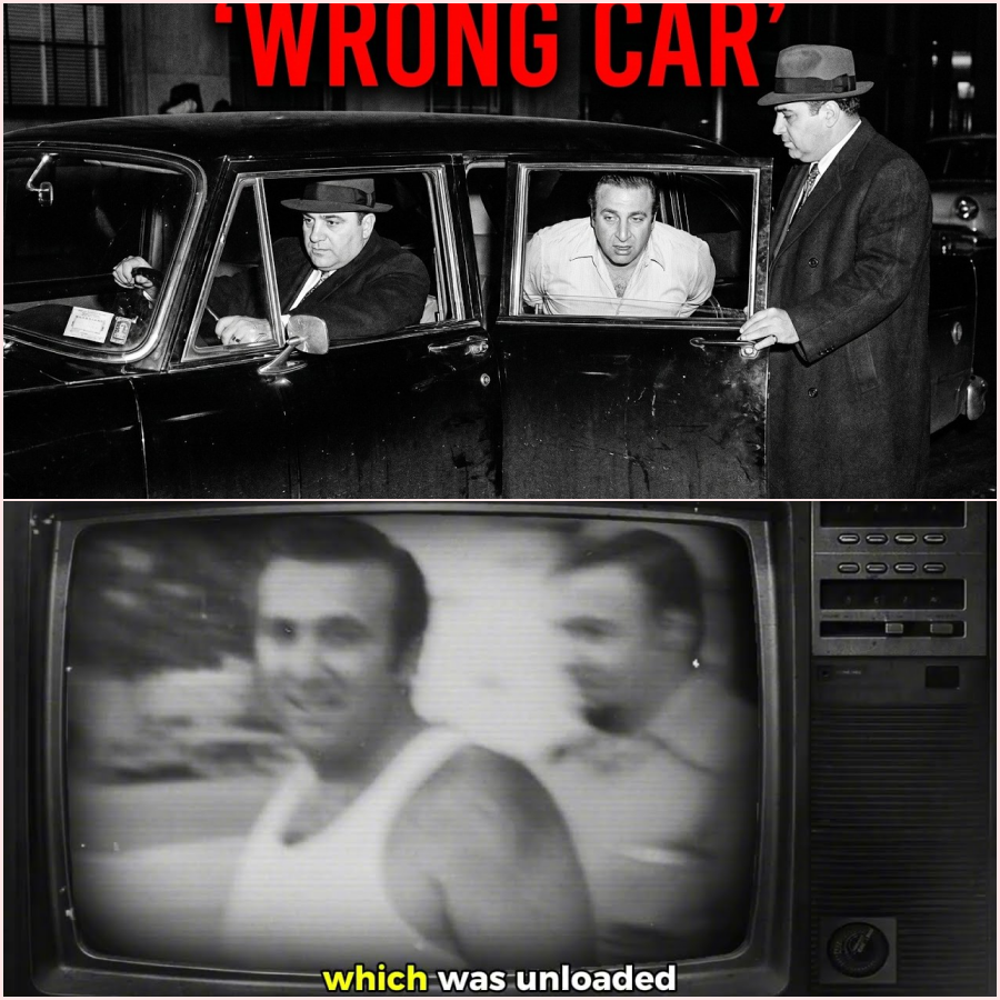 Roy DeMeo Trusted The Wrong Car Ride — Minutes Later The Gambino Family Solved Its Biggest Problem – HT