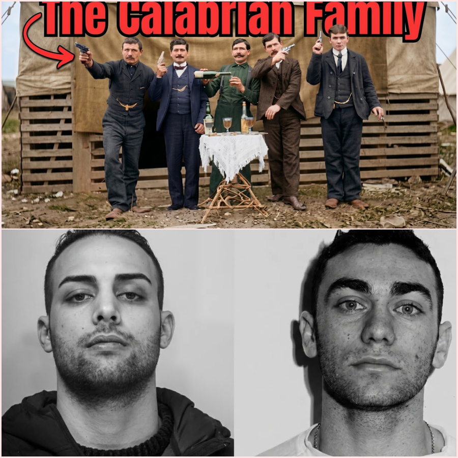 The Australian Mafia: How One Calabrian Family Took Over a Continent – HT
