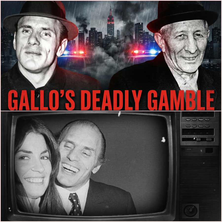 Crazy Joe Refused To Play By Carlo Gambino’s Rules — Not Long After The Whole City Felt The Tension – HT