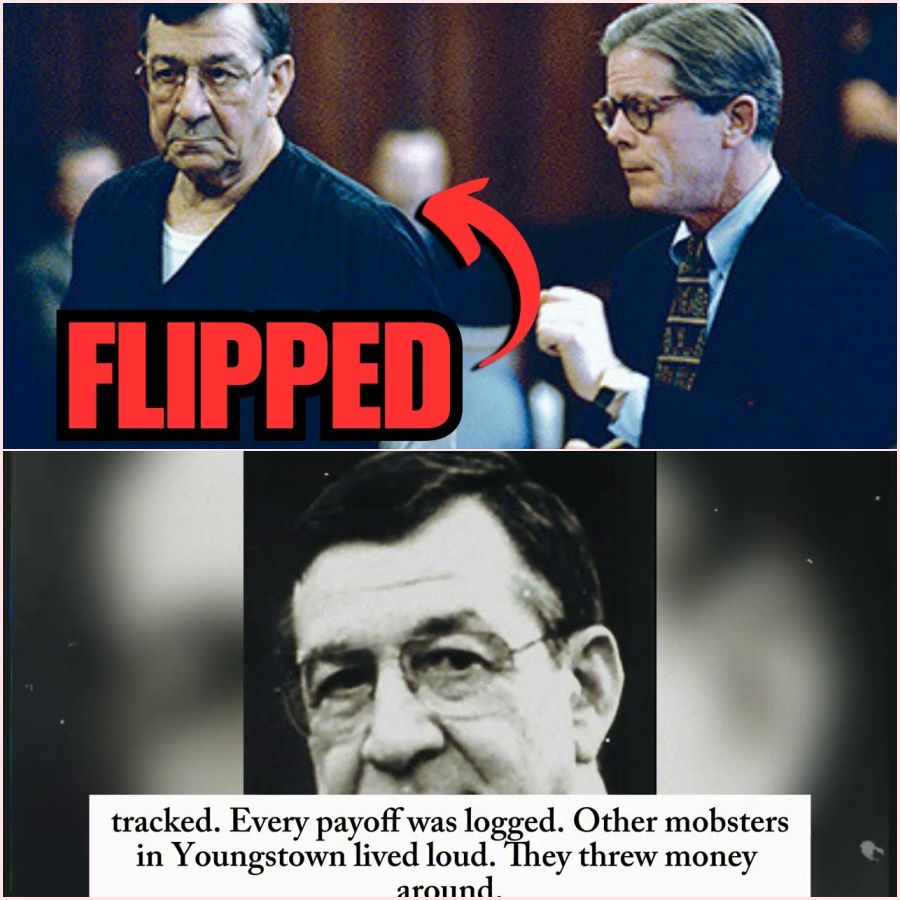 He Ordered Hits… Then Testified Against Everyone – H