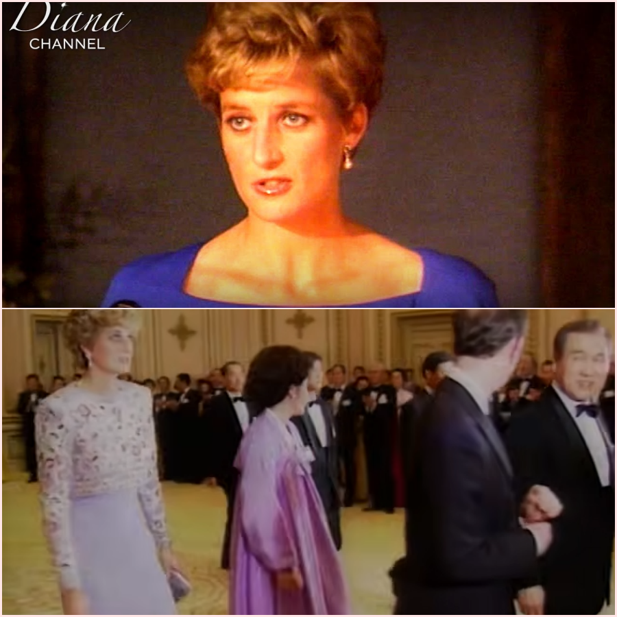 Princess Diana: The Untold Story of Royal Separation and Reinvention – HT