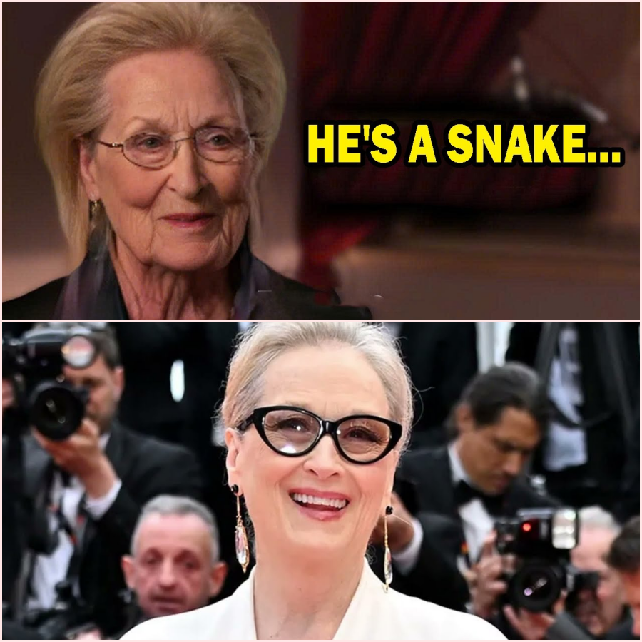 At 76, Meryl Streep Finally Names The Six Actors She Hated The Most – HT