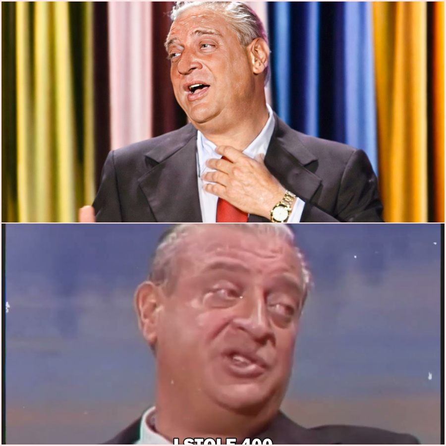 Rodney Dangerfield’s FUNNIEST Stand Up Moments – HT