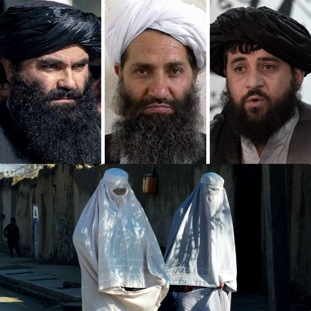 The Digital Shroud: The Day the Leaked Execution Footage of the Taliban’s Inner Circle Wives Broke the World’s Silence