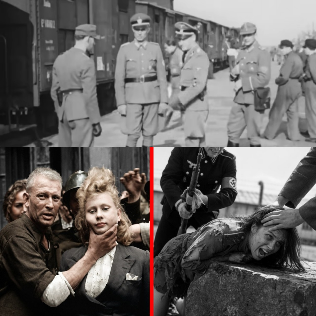 The HELL of Auschwitz *WARNING Disturbing Historical Content JJ