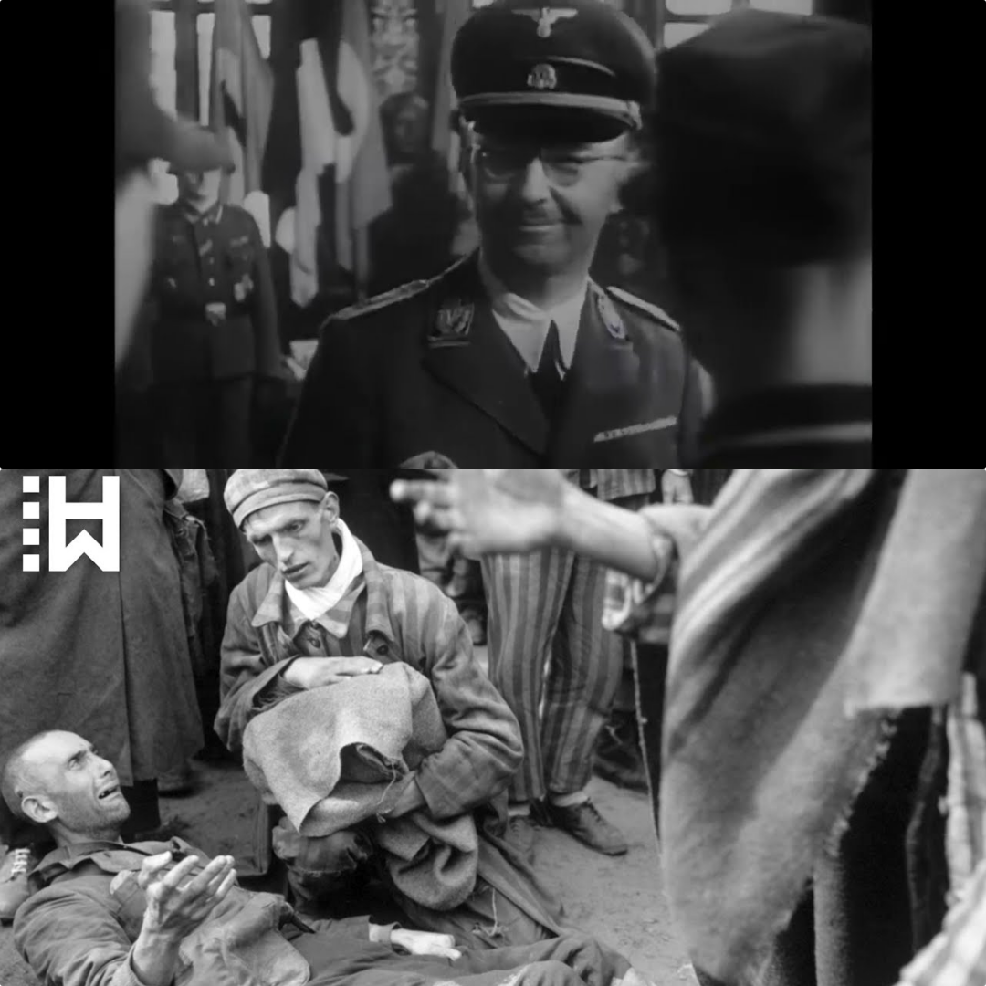How Nazi Regime Targeted Gay Men in the Third Reich JJ