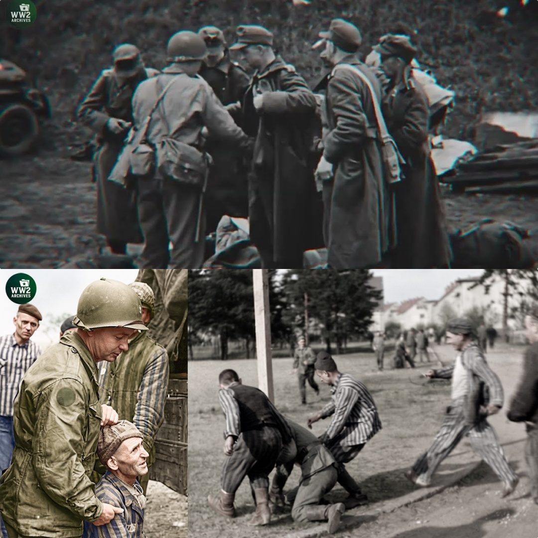 Vengeance After Liberation: Allied Soldiers & Prisoners Execute SS at Nazi Camps – Real Footage JJ