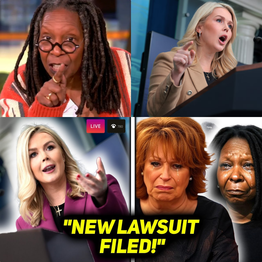 The View in Crisis: Karoline Leavitt’s Legal Bombshell Sends ABC Into Total Panic