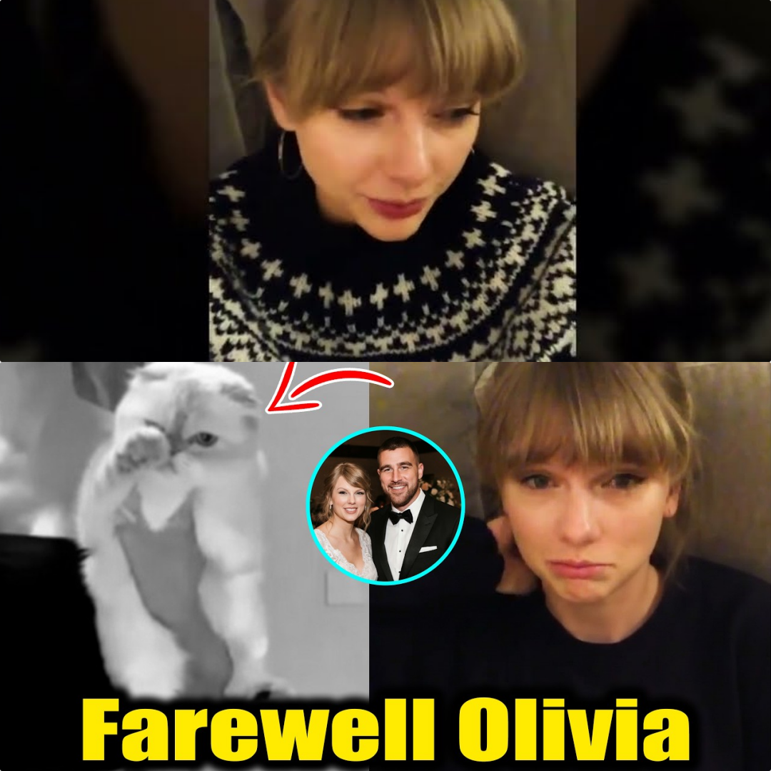 Taylor Swift Opens Up on Heart-Wrenching Incident Involving Beloved Cat Olivia Following Wedding