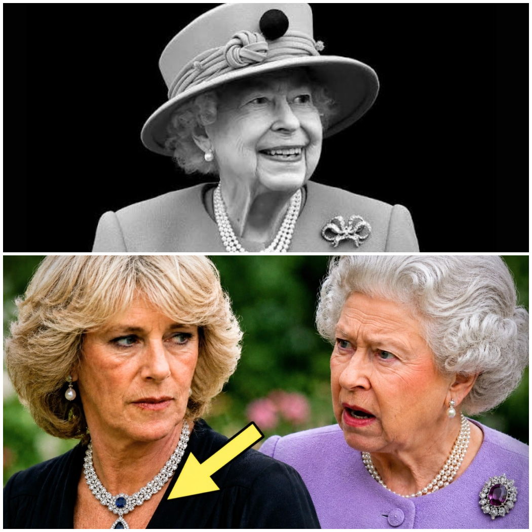 Queen Found Camilla Wearing Diana’s Private Necklace — No One Expected What Happened Next – Hw