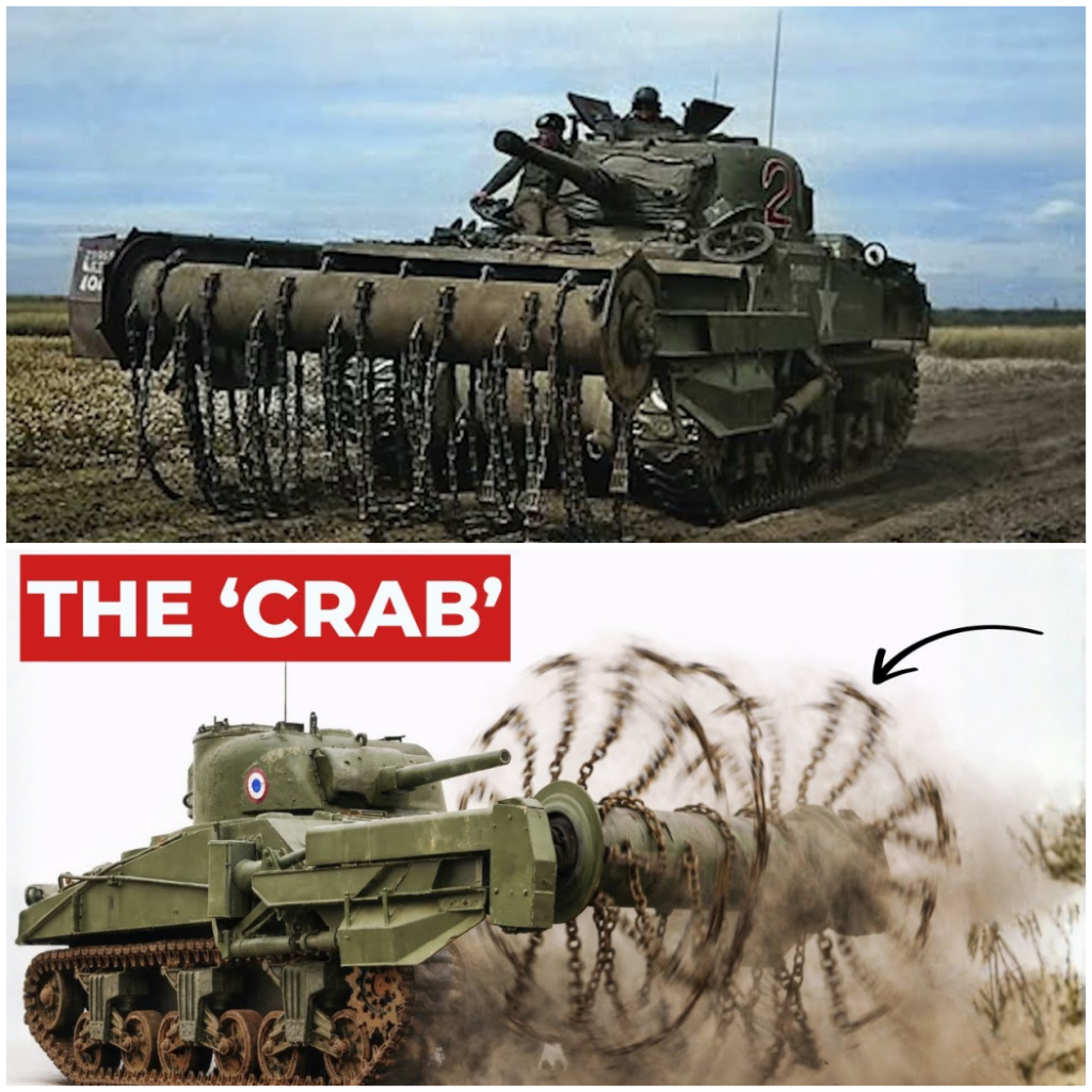 The ‘Insane’ British Tank That Beat Minefields To Death With Chains –  Hww
