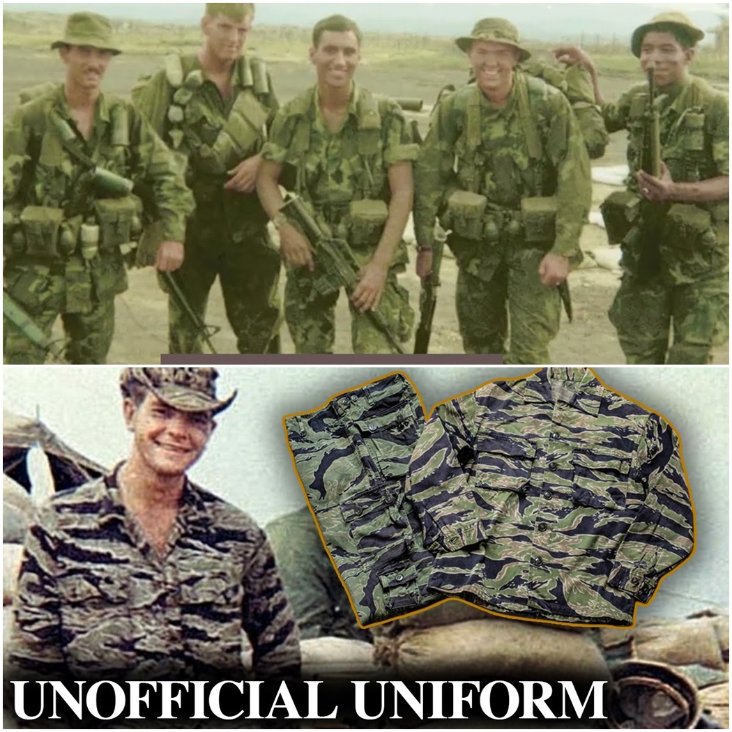 Why Vietnam’s Elite Chose Tiger Stripe (And The Army Didn’t) D